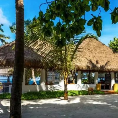 image-https://maldivus.ru/media/restaurants/20/image/400x400/-restaurant-64921.webp