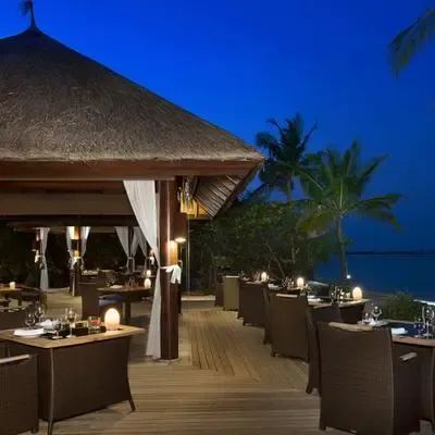 image-https://maldivus.ru/media/restaurants/206/image/400x400/-restaurant-47455.webp