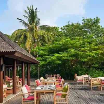 image-https://maldivus.ru/media/restaurants/210/image/400x400/-restaurant-16530.webp