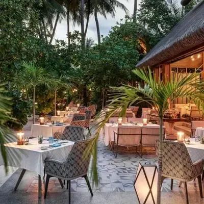 image-https://maldivus.ru/media/restaurants/212/image/400x400/-restaurant-97937.webp