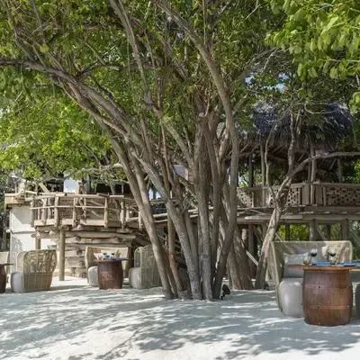image-https://maldivus.ru/media/restaurants/219/image/400x400/-restaurant-84607.webp
