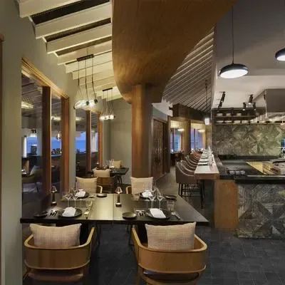 image-https://maldivus.ru/media/restaurants/222/image/400x400/-restaurant-20565.webp