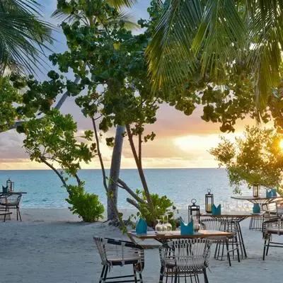 image-https://maldivus.ru/media/restaurants/229/image/400x400/-restaurant-9207.webp