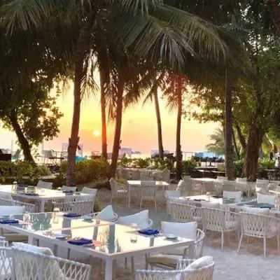 image-https://maldivus.ru/media/restaurants/23/image/400x400/-restaurant-11978.webp