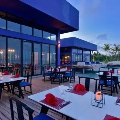 image-https://maldivus.ru/media/restaurants/230/image/400x400/-restaurant-85183.webp