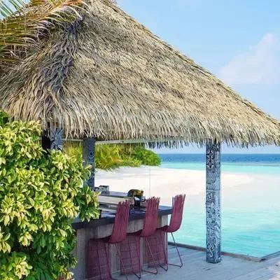 image-https://maldivus.ru/media/restaurants/233/image/400x400/-restaurant-63847.webp