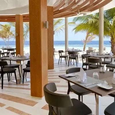 image-https://maldivus.ru/media/restaurants/238/image/400x400/-restaurant-30892.webp