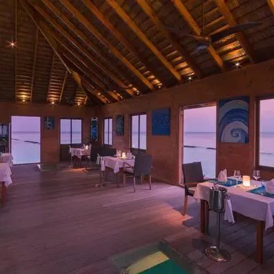 image-https://maldivus.ru/media/restaurants/239/image/400x400/-restaurant-42496.webp