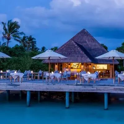 image-https://maldivus.ru/media/restaurants/246/image/400x400/-restaurant-6684.webp