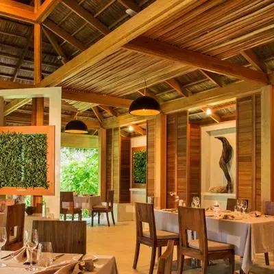 image-https://maldivus.ru/media/restaurants/254/image/400x400/-restaurant-62031.webp
