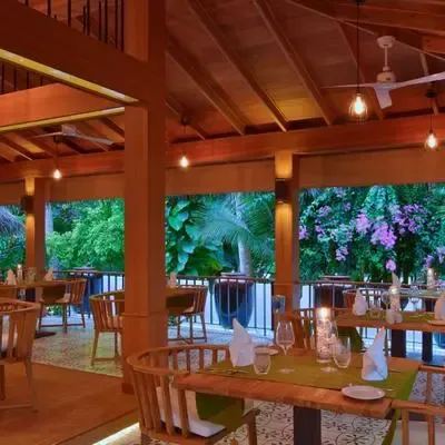 image-https://maldivus.ru/media/restaurants/256/image/400x400/-restaurant-49858.webp