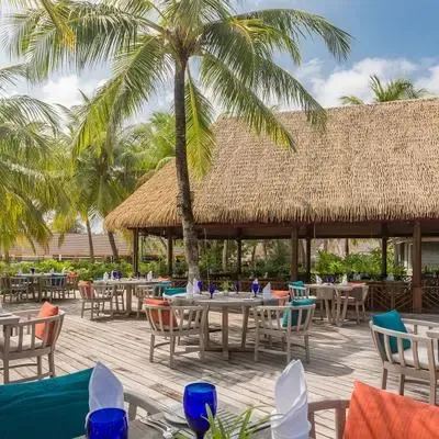 image-https://maldivus.ru/media/restaurants/264/image/400x400/-restaurant-34684.webp