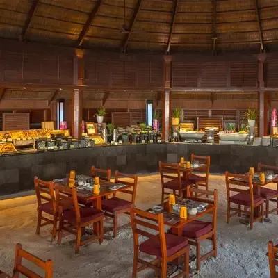 image-https://maldivus.ru/media/restaurants/266/image/400x400/-restaurant-48234.webp