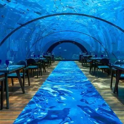 image-https://maldivus.ru/media/restaurants/268/image/400x400/-restaurant-79965.webp