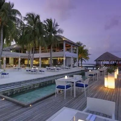 image-https://maldivus.ru/media/restaurants/274/image/400x400/-restaurant-12494.webp