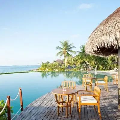 image-https://maldivus.ru/media/restaurants/281/image/400x400/-restaurant-76063.webp