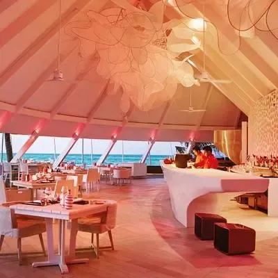 image-https://maldivus.ru/media/restaurants/283/image/400x400/-restaurant-66844.webp