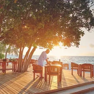 image-https://maldivus.ru/media/restaurants/284/image/400x400/-restaurant-89880.webp