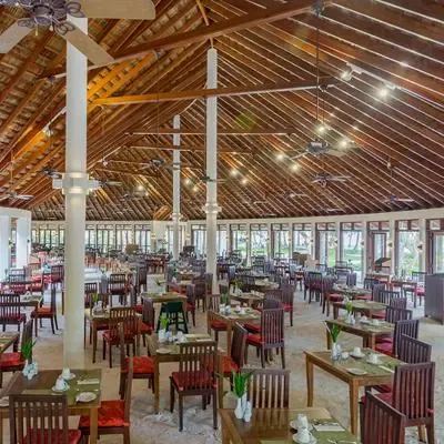 image-https://maldivus.ru/media/restaurants/291/image/400x400/-restaurant-25213.webp