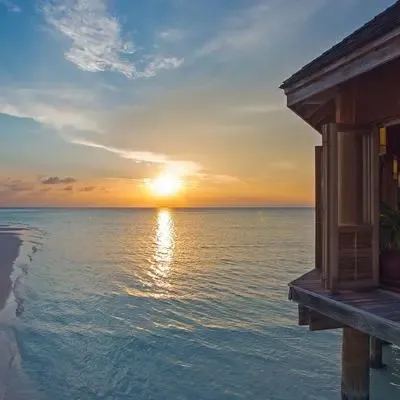 image-https://maldivus.ru/media/restaurants/293/image/400x400/-restaurant-94211.webp