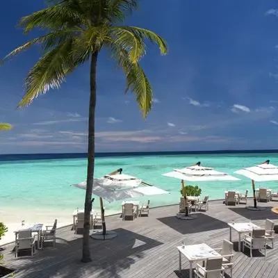 image-https://maldivus.ru/media/restaurants/298/image/400x400/-restaurant-59250.webp