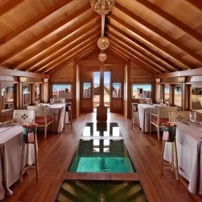 image-https://maldivus.ru/media/restaurants/300/image/400x400/-restaurant-45490.webp