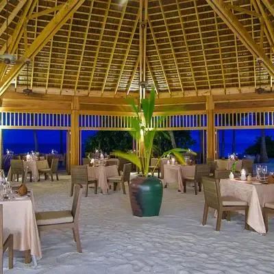 image-https://maldivus.ru/media/restaurants/301/image/400x400/-restaurant-24839.webp