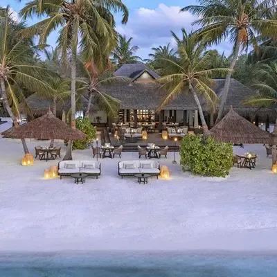 image-https://maldivus.ru/media/restaurants/303/image/400x400/-restaurant-62323.webp