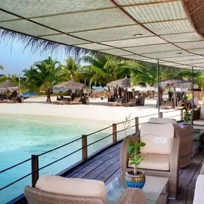 image-https://maldivus.ru/media/restaurants/304/image/400x400/-restaurant-64046.webp