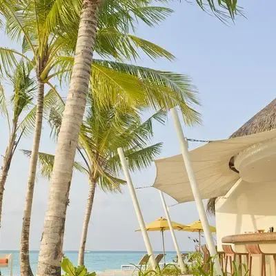 image-https://maldivus.ru/media/restaurants/305/image/400x400/-restaurant-52133.webp