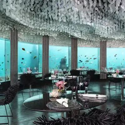 image-https://maldivus.ru/media/restaurants/306/image/400x400/-restaurant-41140.webp