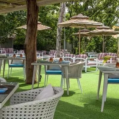 image-https://maldivus.ru/media/restaurants/31/image/400x400/-restaurant-52592.webp