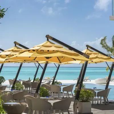 image-https://maldivus.ru/media/restaurants/310/image/400x400/-restaurant-98334.webp