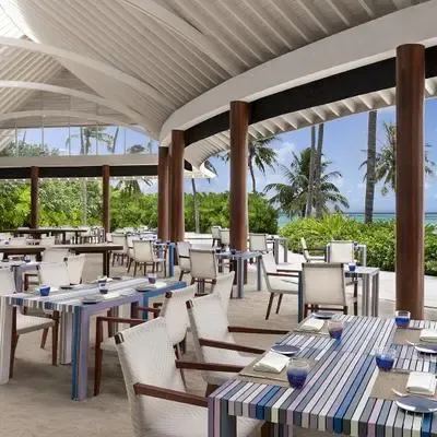 image-https://maldivus.ru/media/restaurants/311/image/400x400/-restaurant-59777.webp