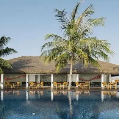 image-https://maldivus.ru/media/restaurants/313/image/400x400/-restaurant-55366.webp