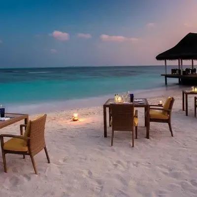 image-https://maldivus.ru/media/restaurants/319/image/400x400/-restaurant-33842.webp