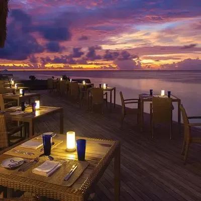 image-https://maldivus.ru/media/restaurants/320/image/400x400/-restaurant-53899.webp