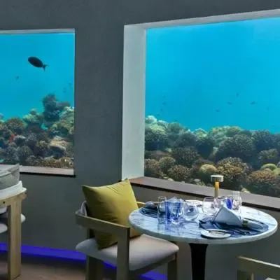 image-https://maldivus.ru/media/restaurants/324/image/400x400/-restaurant-41810.webp