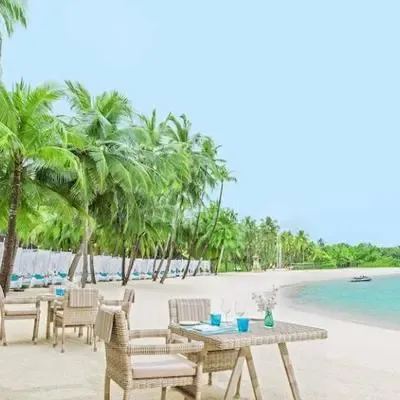 image-https://maldivus.ru/media/restaurants/329/image/400x400/-restaurant-56472.webp