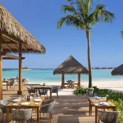 image-https://maldivus.ru/media/restaurants/33/image/400x400/-restaurant-56687.webp