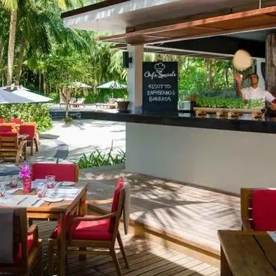 image-https://maldivus.ru/media/restaurants/330/image/400x400/-restaurant-53519.webp