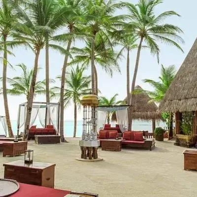 image-https://maldivus.ru/media/restaurants/331/image/400x400/-restaurant-3206.webp
