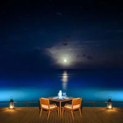 image-https://maldivus.ru/media/restaurants/333/image/400x400/-restaurant-46302.webp