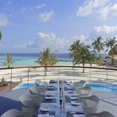 image-https://maldivus.ru/media/restaurants/338/image/400x400/-restaurant-65265.webp