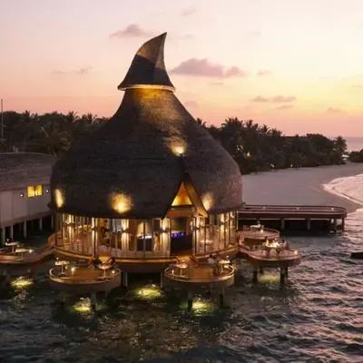 image-https://maldivus.ru/media/restaurants/339/image/400x400/-restaurant-61080.webp