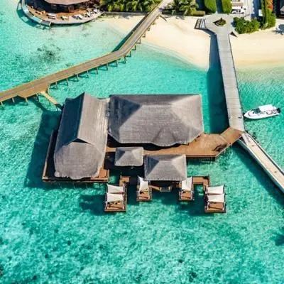 image-https://maldivus.ru/media/restaurants/342/image/400x400/-restaurant-93782.webp