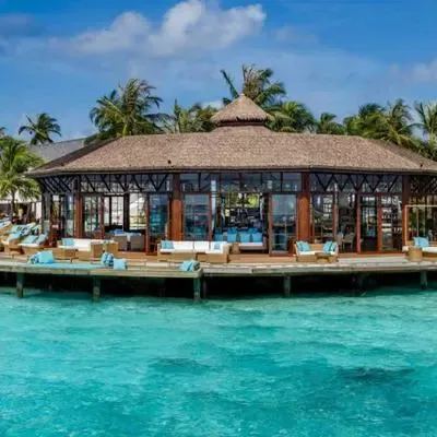 image-https://maldivus.ru/media/restaurants/343/image/400x400/-restaurant-25375.webp