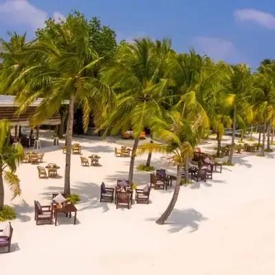 image-https://maldivus.ru/media/restaurants/344/image/400x400/-restaurant-75752.webp