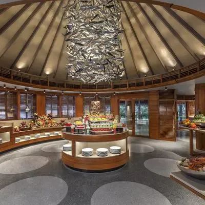 image-https://maldivus.ru/media/restaurants/35/image/400x400/-restaurant-10237.webp