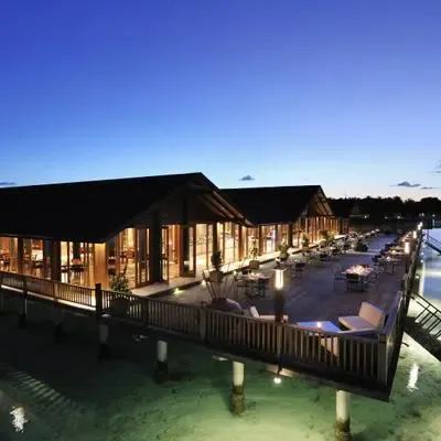 image-https://maldivus.ru/media/restaurants/350/image/400x400/-restaurant-98144.webp